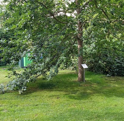 Taufbaum – Foto aus dem Google-Maps-Eintrag