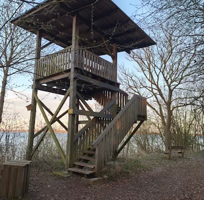 Aussichtsturm Borndiek – Foto aus dem Google-Maps-Eintrag