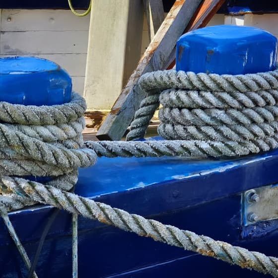 #fischereihafentravemünde #travemuende#fischereihafenatmosphäre #travemündehafen #travemündeliebe