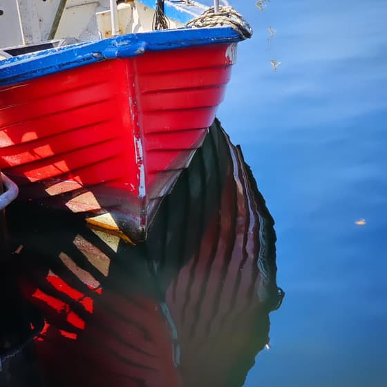 #fischereihafentravemünde #travemuende#fischereihafenatmosphäre #travemündehafen #travemündeliebe