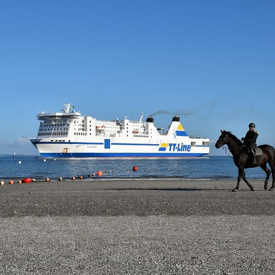 Fährde🤣🐎⚓️ #travemuende #strand #passat #ostsee #ttline #luebeck #priwall #derechtenorden @ttline_