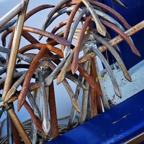 #fischereihafentravemünde #travemuende#fischereihafenatmosphäre #travemündehafen #travemündeliebe