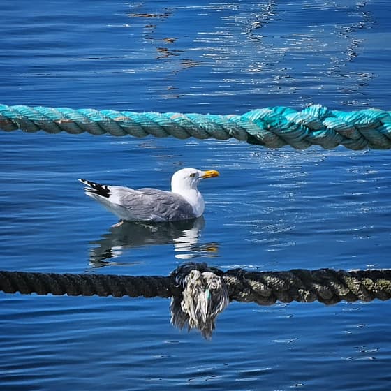 #fischereihafentravemünde #travemuende#fischereihafenatmosphäre #travemündehafen #travemündeliebe
