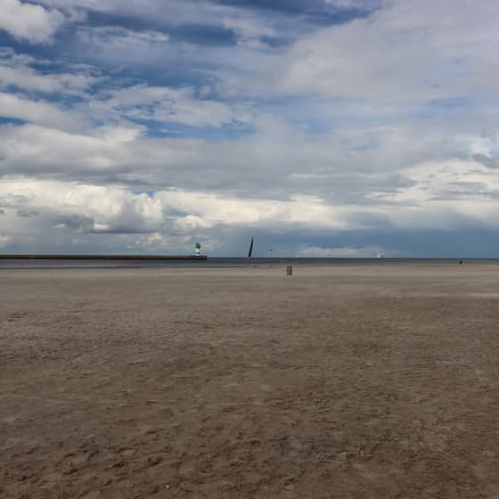 Priwall Travemünde, großartige nordische Natur #priwall #travemuende #strand #ostsee #trave #baltics
